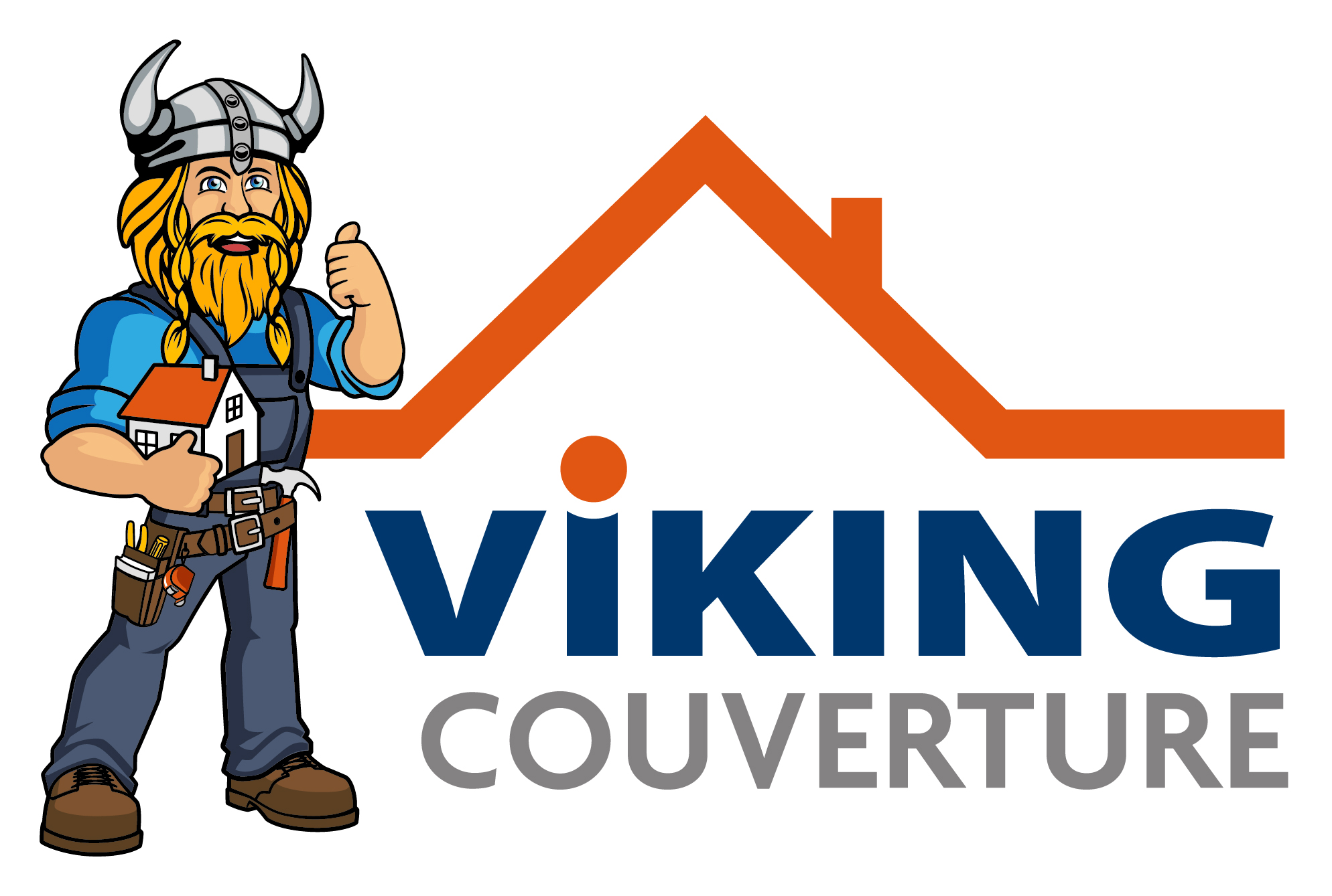 Viking couverture